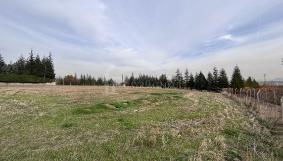 Kahramankazan İğmir 4500 m2  Tek Tapu Satılık Arsa